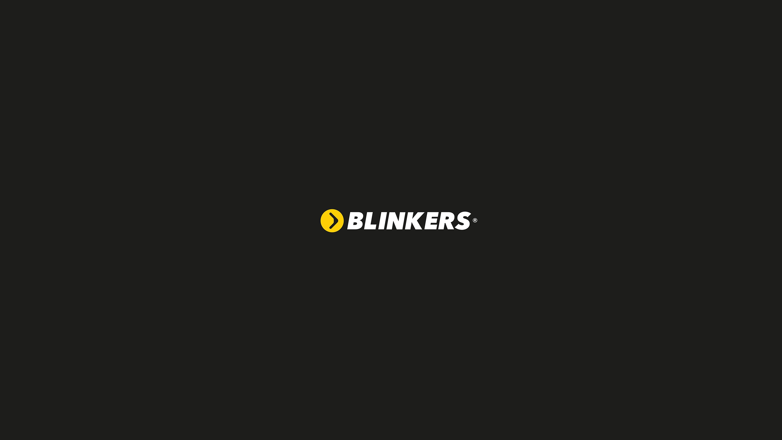BLINKES-SLIDES-07