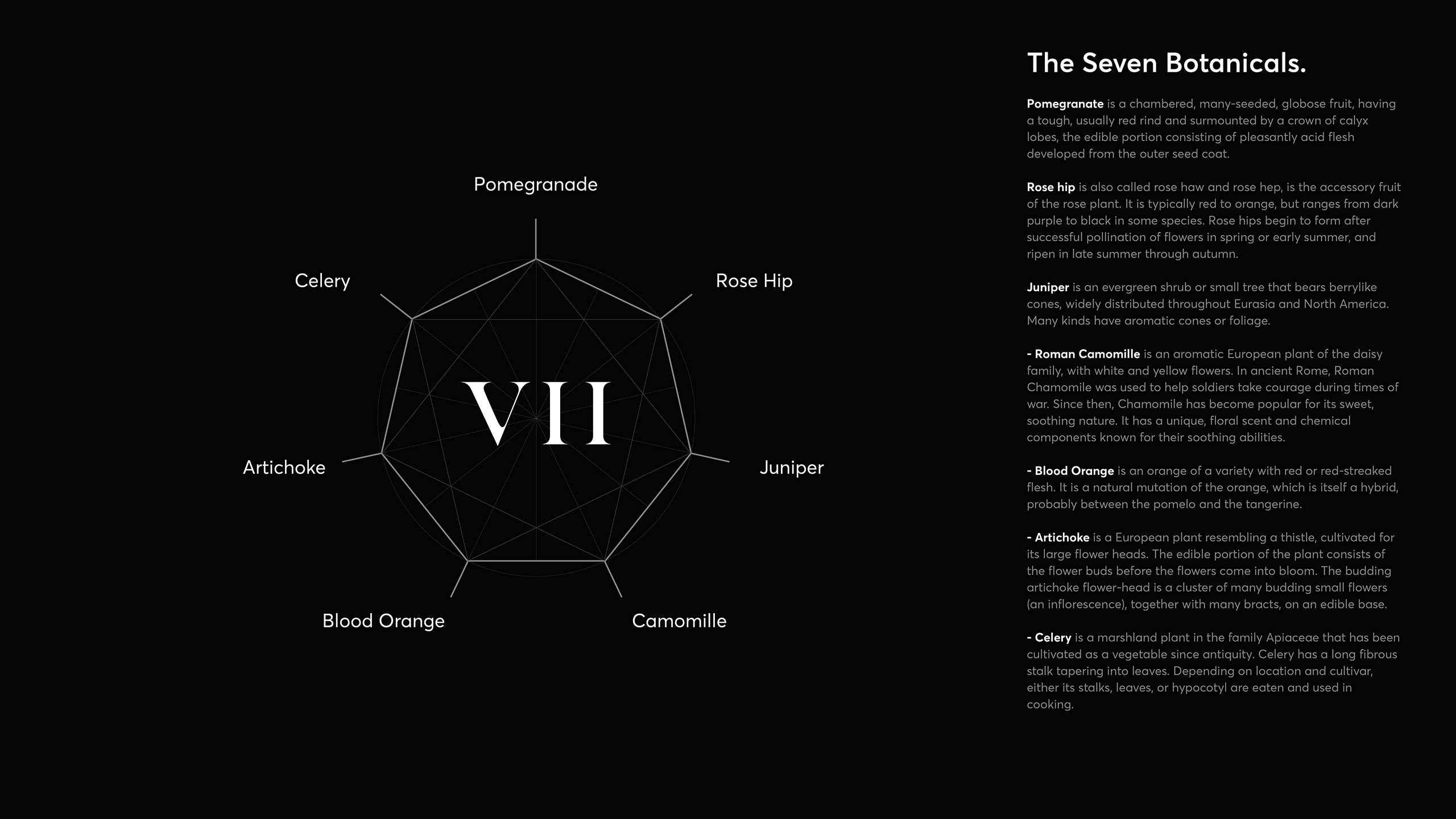 VII-Hills_Visual-Identity-20-inv